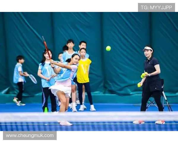 网球运动的魅力与挑战：从基础技巧到世界级赛事的全面解析