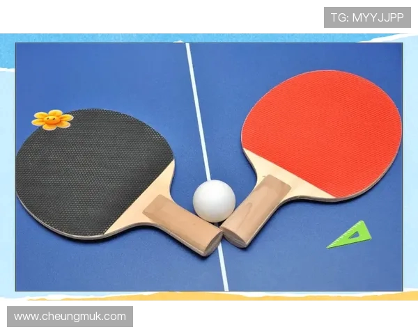 乒乓球运动的魅力与发展趋势：从技术革新到全球化普及的全景解析