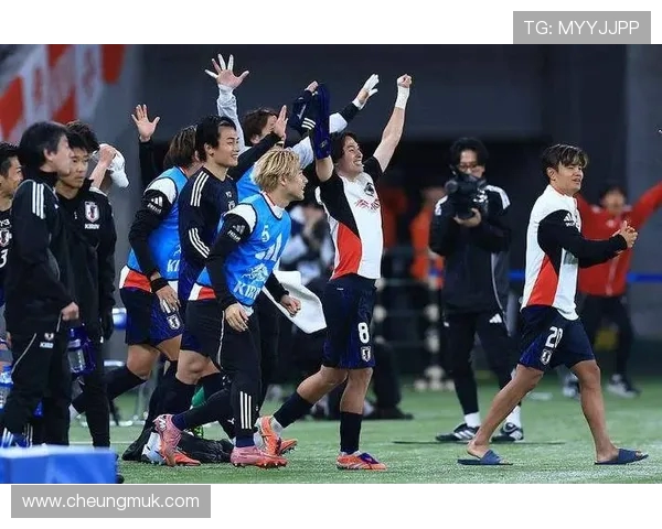 围绕世界杯展现全球激情与球队故事的多维度全景深度观察综合视角