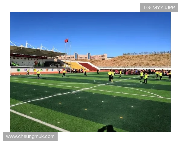 聚焦世界足坛巨星非凡成长历程与璀璨绿茵传奇故事全景解析魅力篇