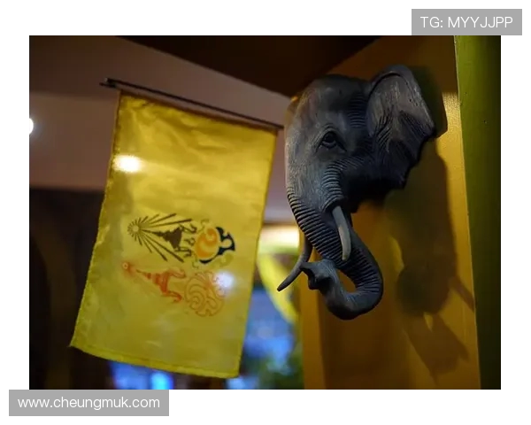 南京头排苏酒对阵掀起酒文化新热潮 品味与历史的完美碰撞