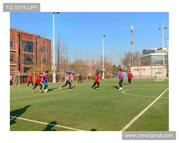 当足球点燃世界激情从绿茵赛场到球迷文化的全面观察与思考新趋势