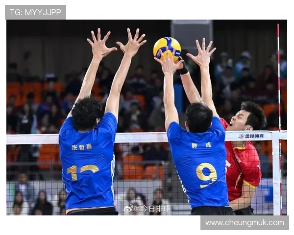 上海排球队技术争议引发热议球迷与专家各执己见探讨战术与表现