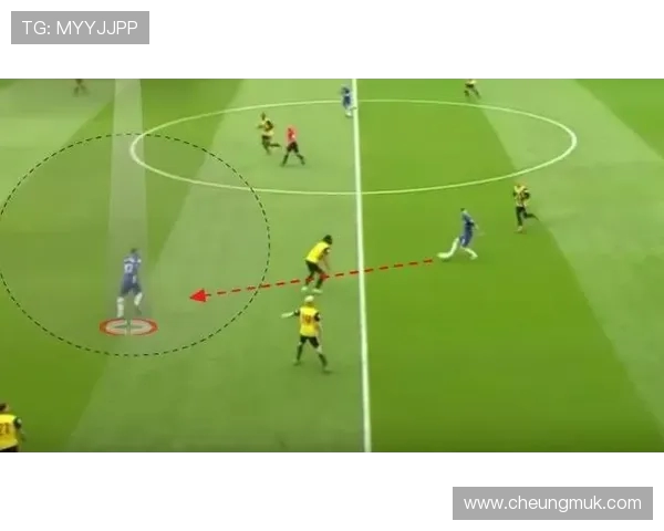 成都排球队的阵地战策略揭秘与深度分析