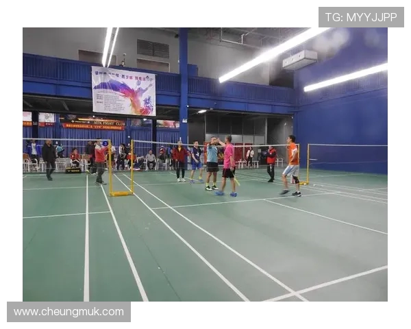 杭州羽毛球队进攻革新探索：技术提升与战术创新的完美结合