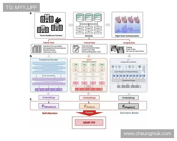武汉飞盘队耐力表现数据分析揭示运动员潜力与训练效果的深度探讨 武汉飞盘队耐力表现数据分析揭示运动员潜力与训练效果的深度探讨