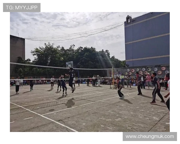 陈敏的排球之路：从赛场到人生的启示与反思